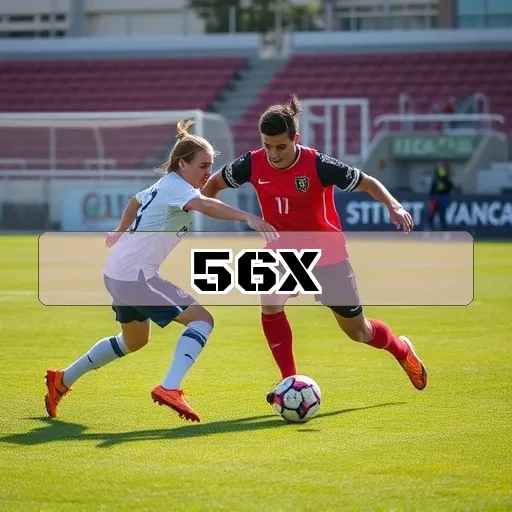 56x.com Novidades